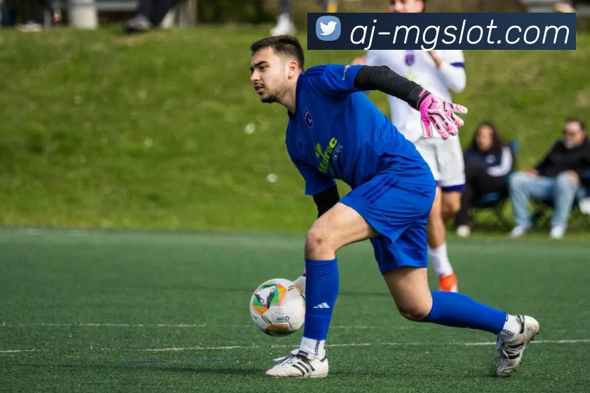 MG电子模拟器官网品牌故事