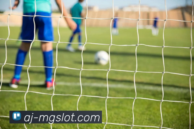 MG电子模拟器官网服务体系